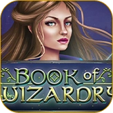 A fantasy-themed slot game with a magical woman and the title "BOOK OF WIZARDRY" for Melbet